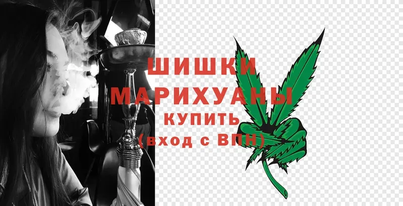 Каннабис OG Kush  Камешково 